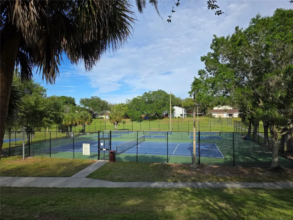 14602 Pine Glen Circle Lutz FL 33559