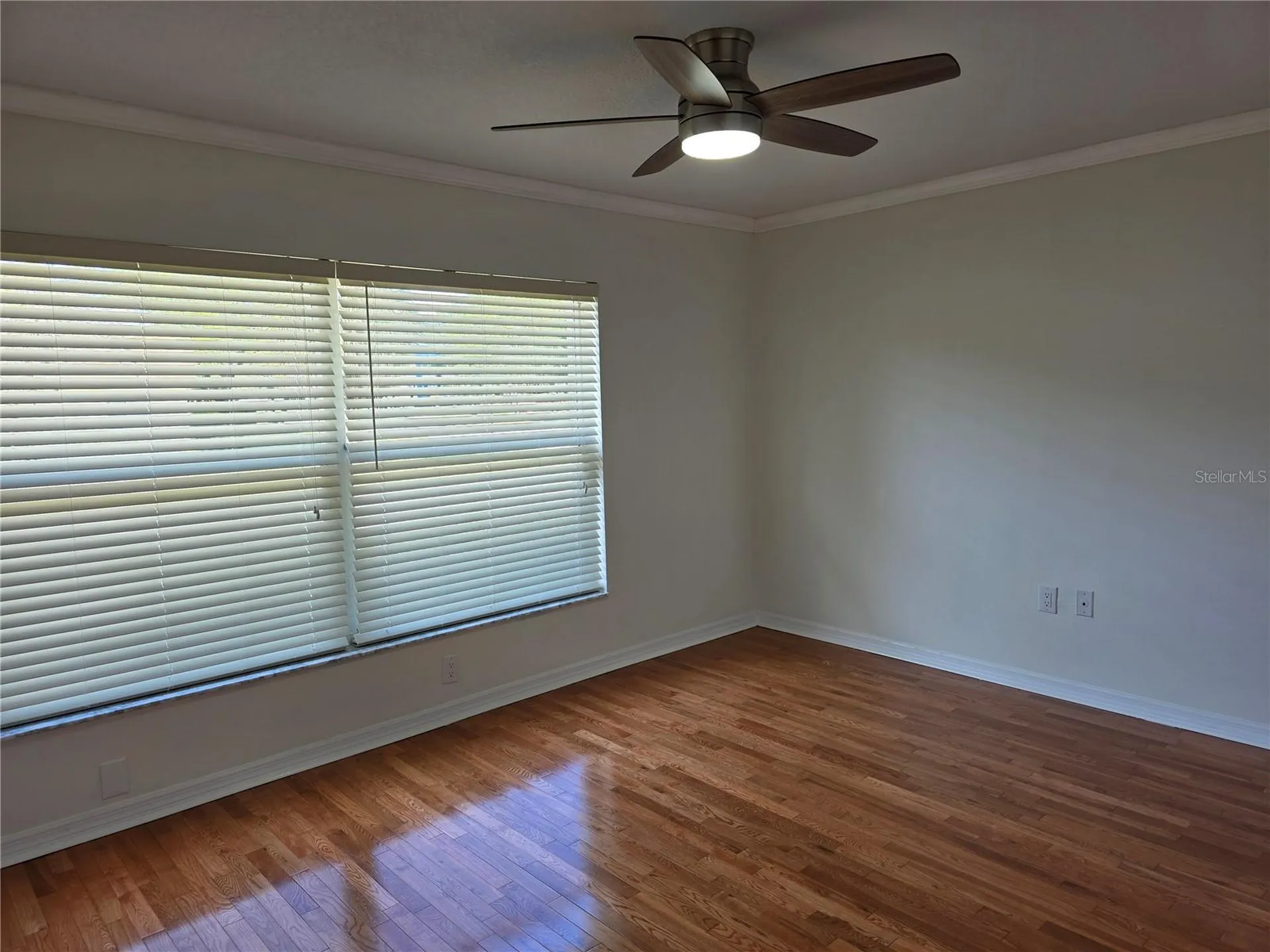 14602 Pine Glen Circle Lutz FL 33559