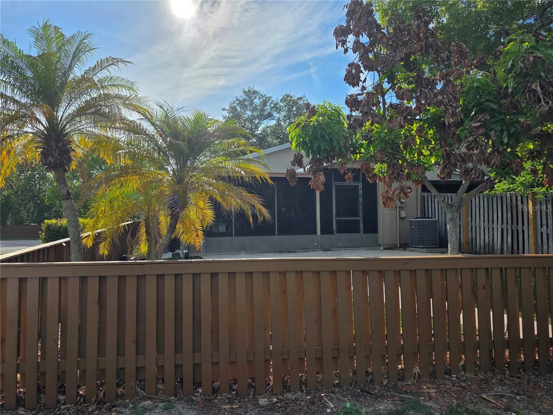 14602 Pine Glen Circle Lutz FL 33559