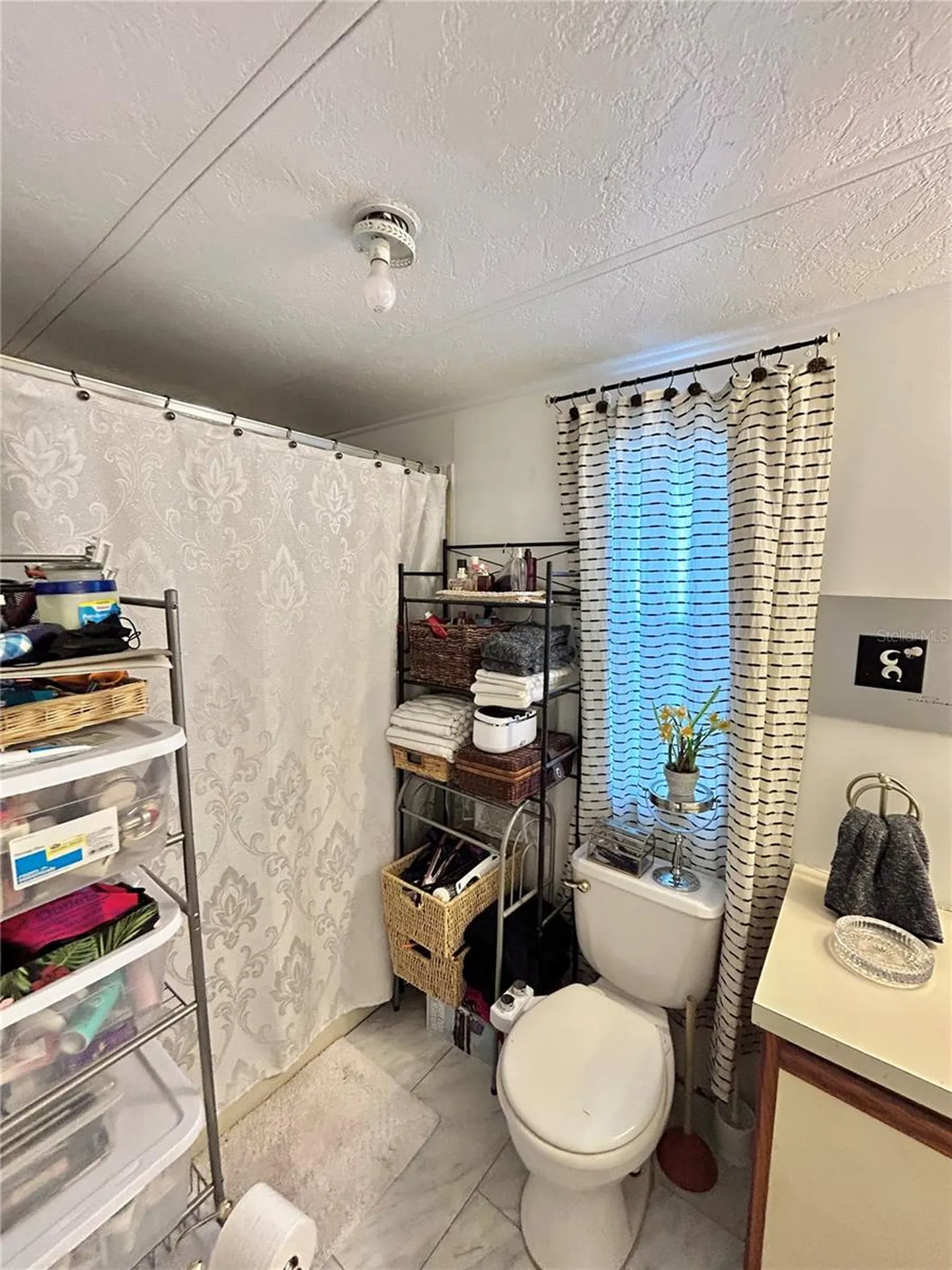 111 Ashville Street Apopka FL 32712