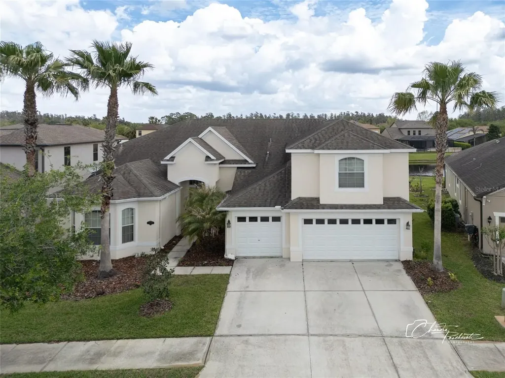 19305 Yellow Clover Drive Tampa FL 33647