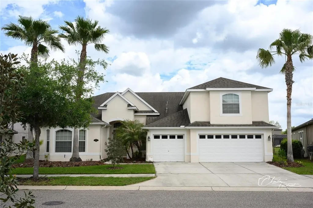 19305 Yellow Clover Drive Tampa FL 33647