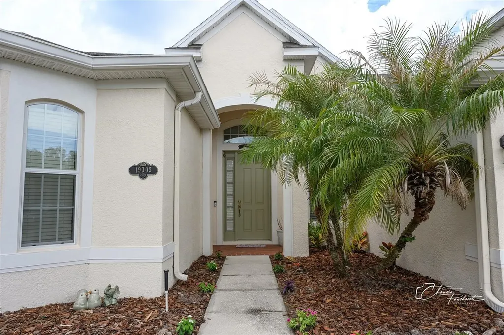 19305 Yellow Clover Drive Tampa FL 33647