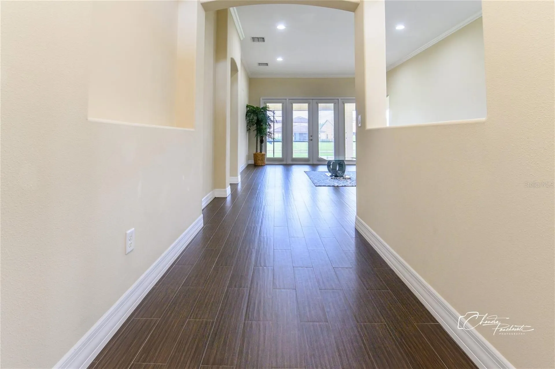 19305 Yellow Clover Drive Tampa FL 33647
