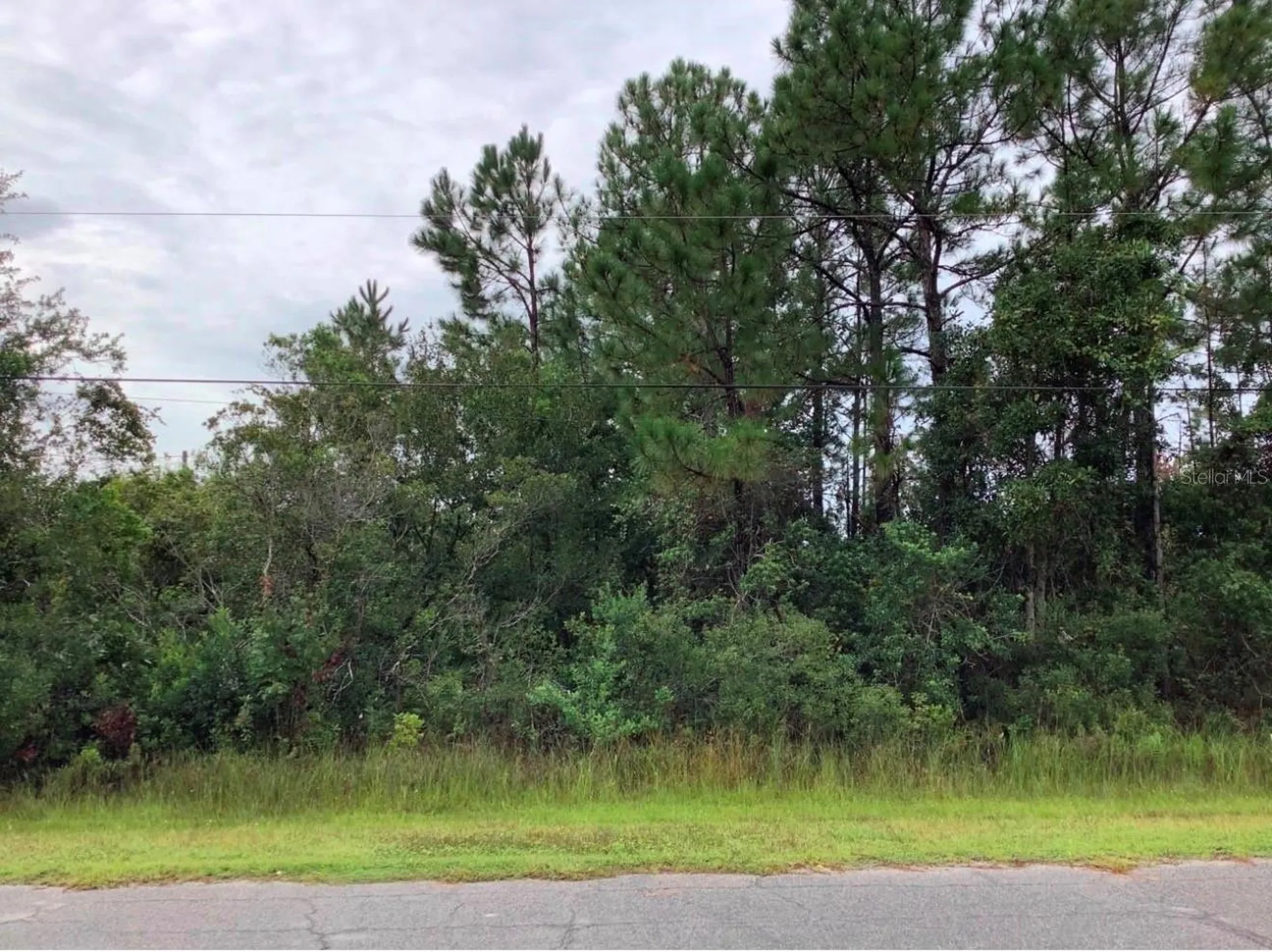 Odham Street Orlando FL 32833