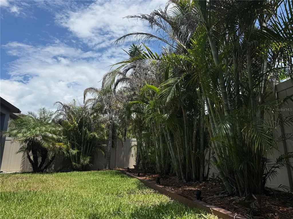 10401 Malvasia Avenue Riverview FL 33578