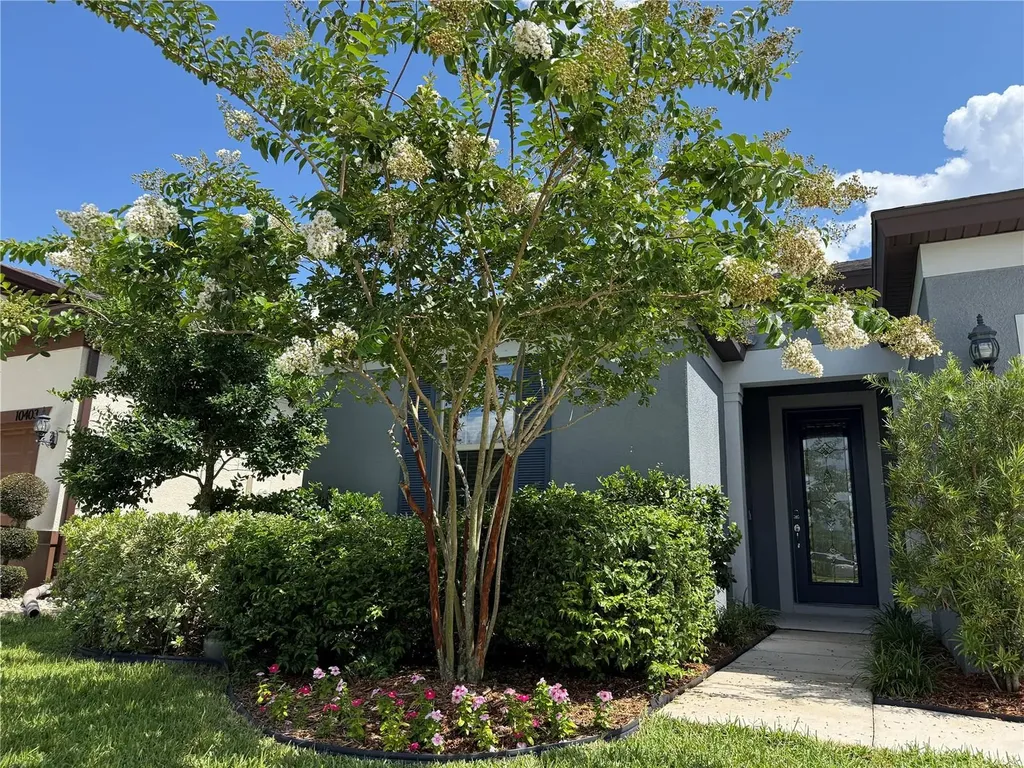 10401 Malvasia Avenue Riverview FL 33578