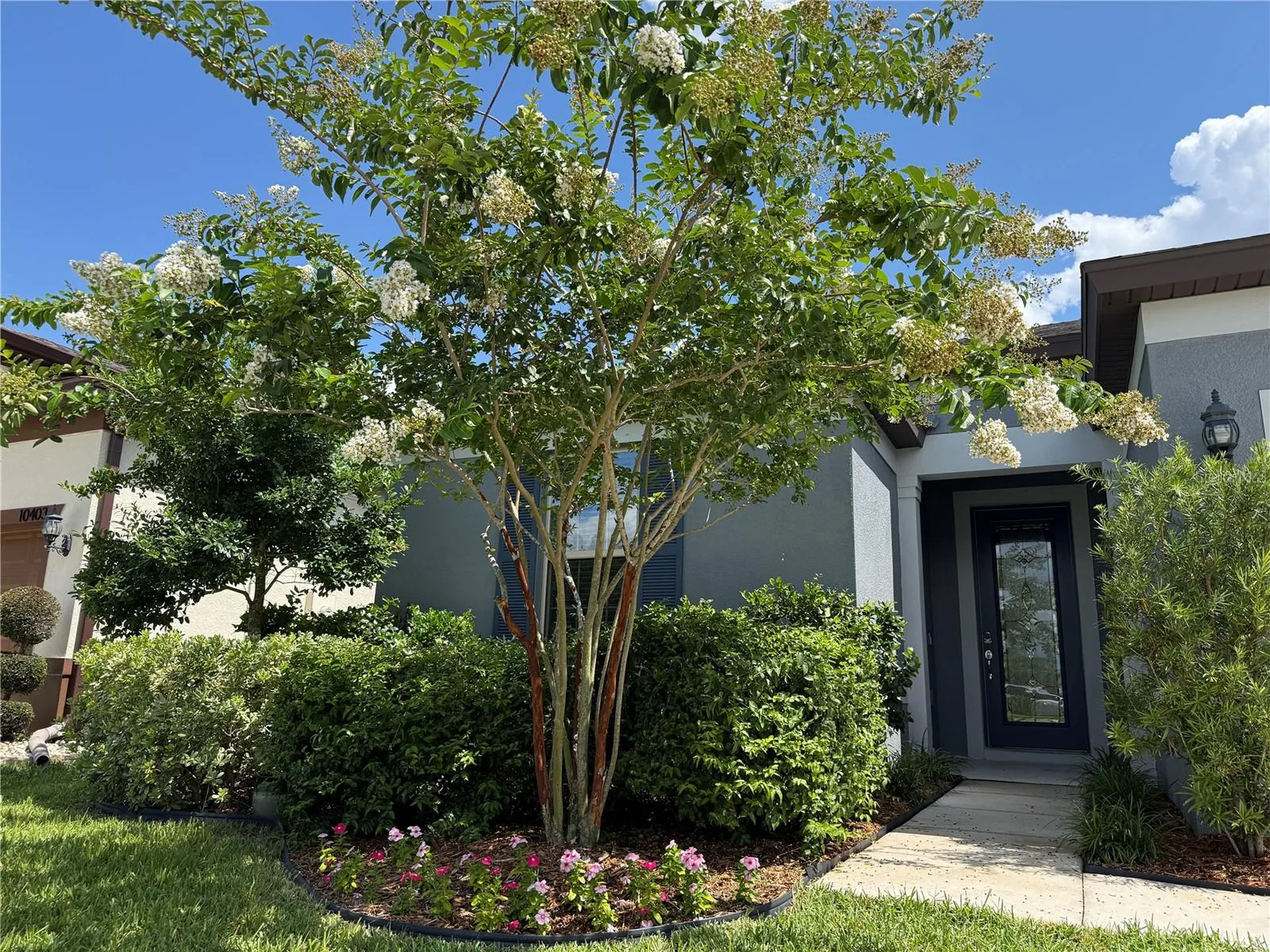 10401 Malvasia Avenue Riverview FL 33578