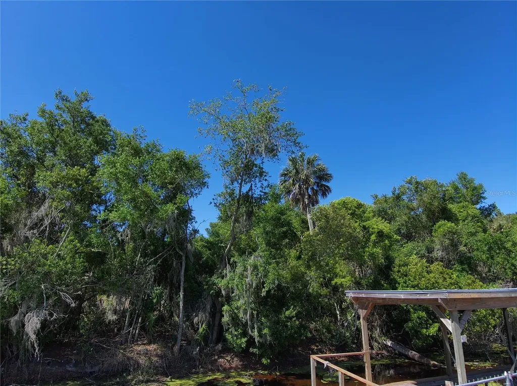 7152 Palm Avenue Leesburg FL 34788