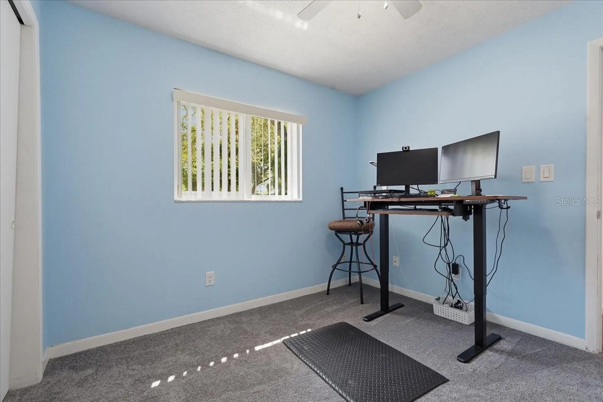 3809 Parkside Drive Valrico FL 33594