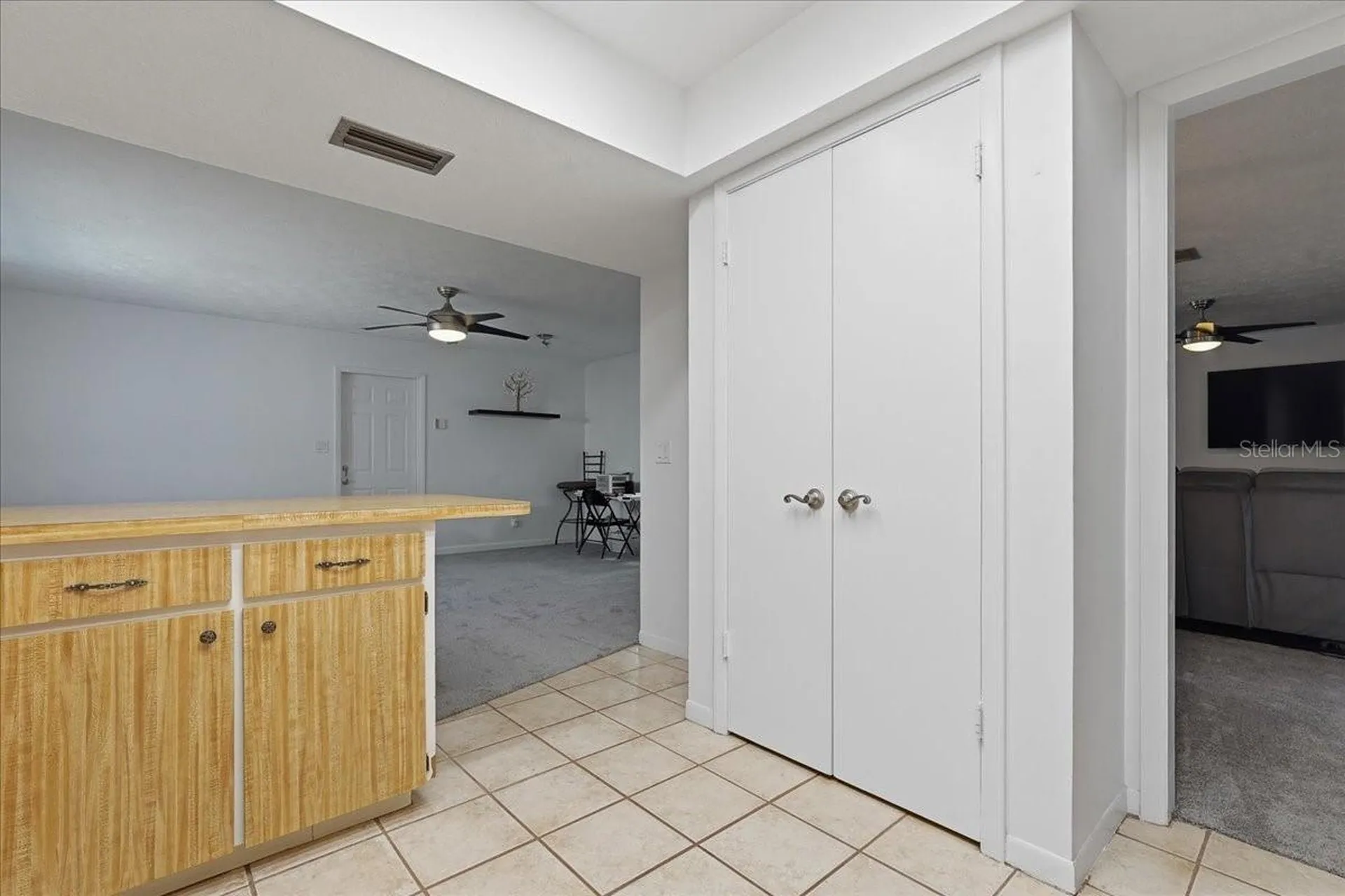 3809 Parkside Drive Valrico FL 33594