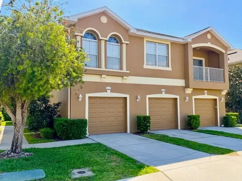 9120 Moonlit Meadows Loop Riverview FL 33578