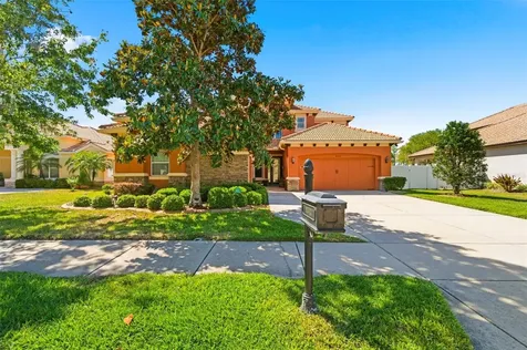 8743 New Alexandria Loop New Port Richey FL 34654