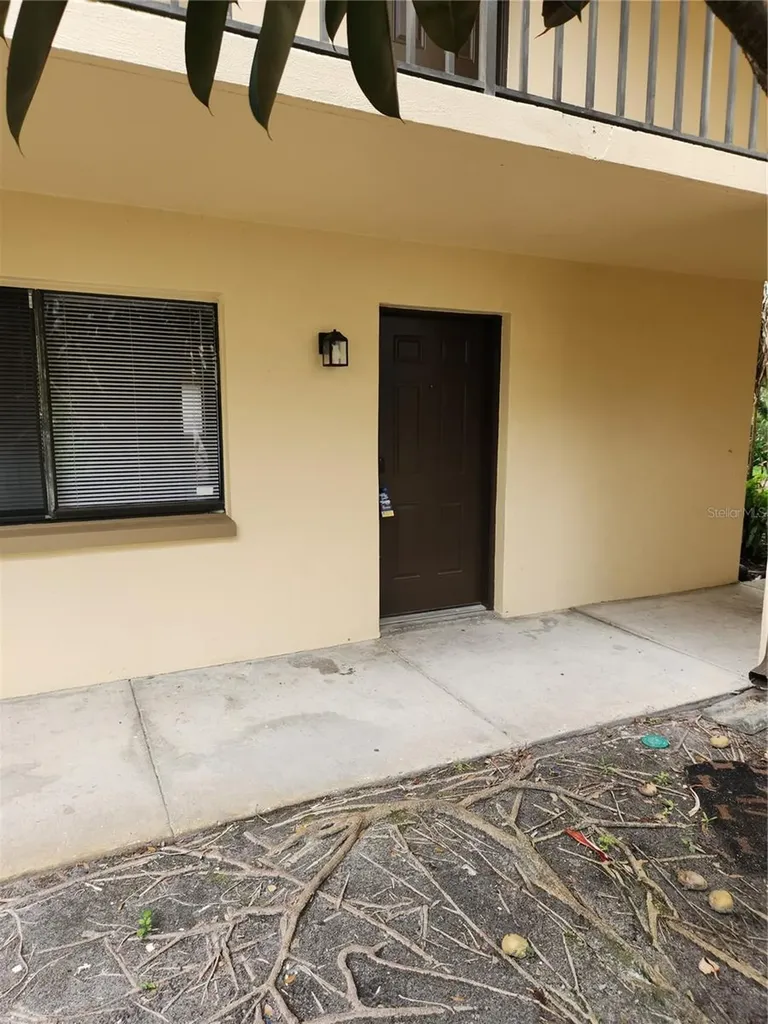 11809 Raintree Lake Lane Tampa FL 33617