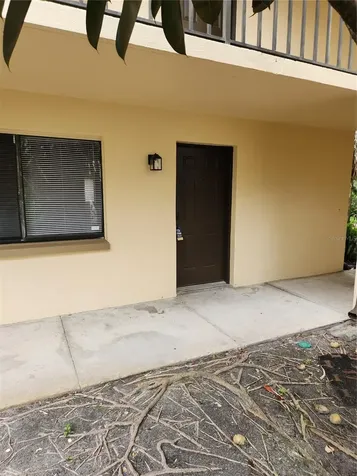 11809 Raintree Lake Lane Tampa FL 33617