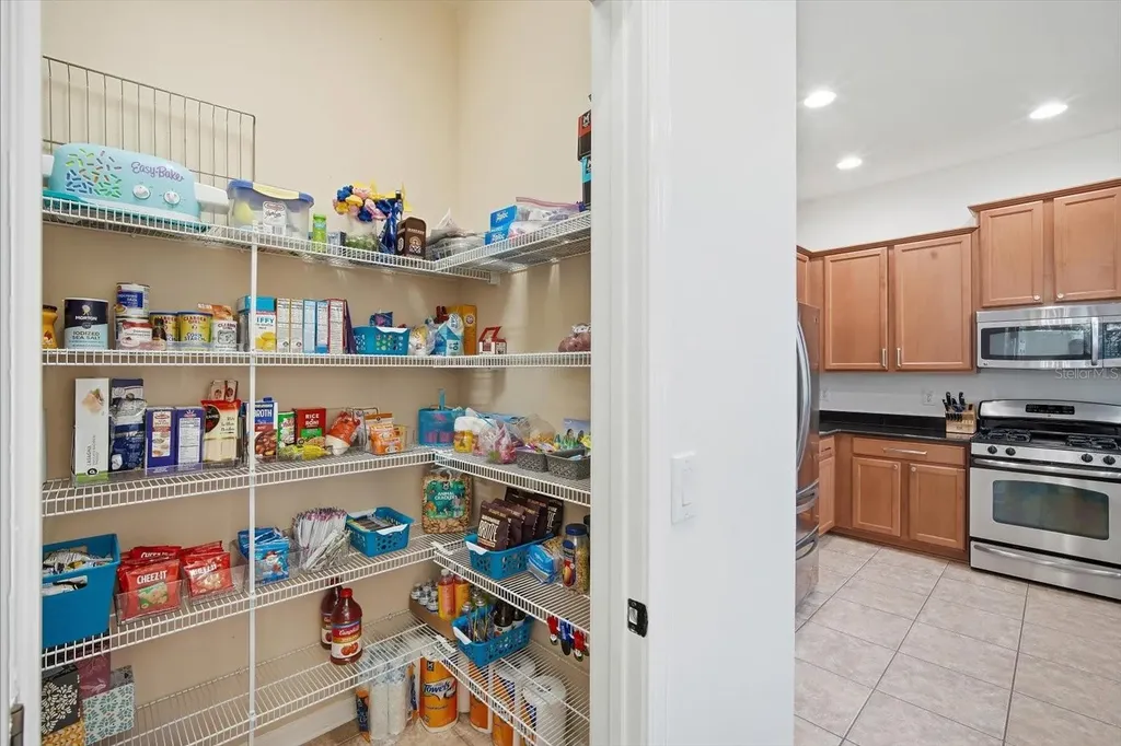 11310 Winthrop Lake Drive Riverview FL 33578