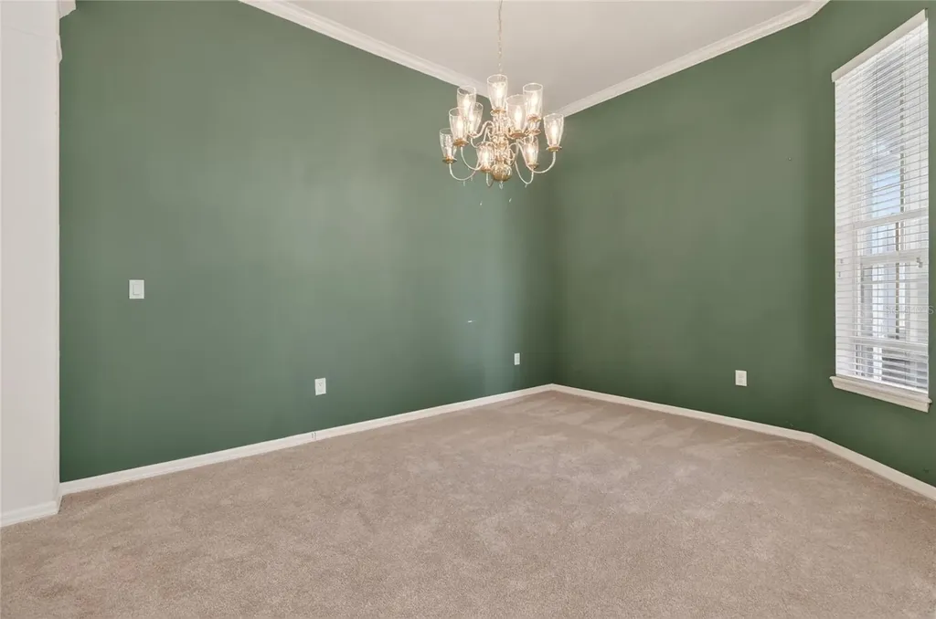 10206 Shadow Branch Drive Tampa FL 33647