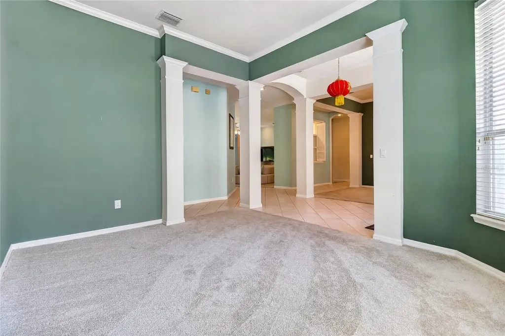 10206 Shadow Branch Drive Tampa FL 33647