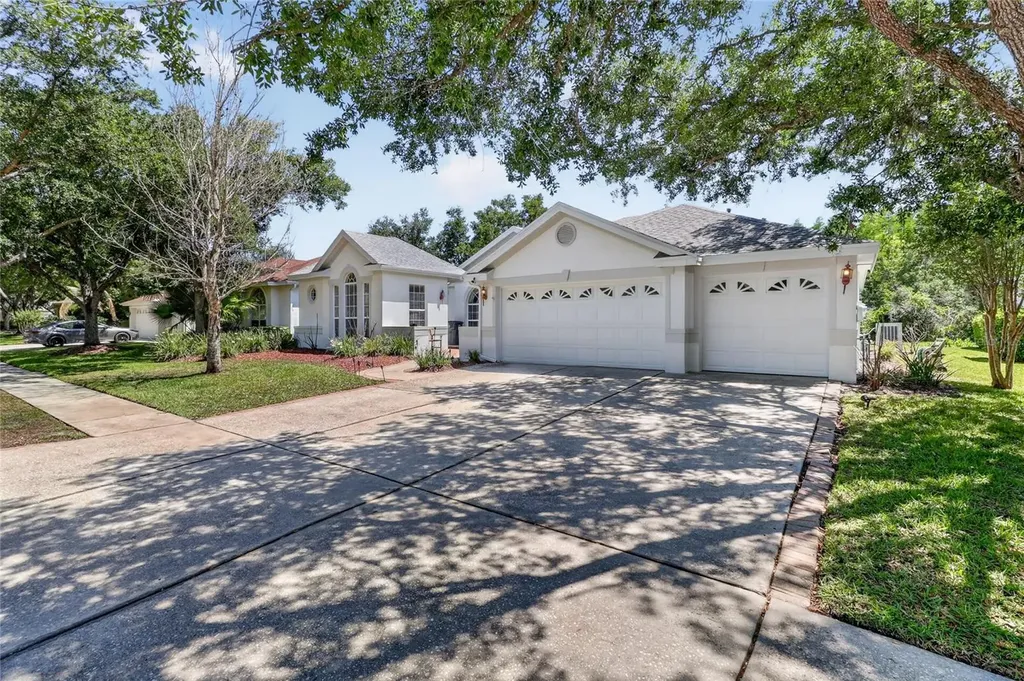 10206 Shadow Branch Drive Tampa FL 33647