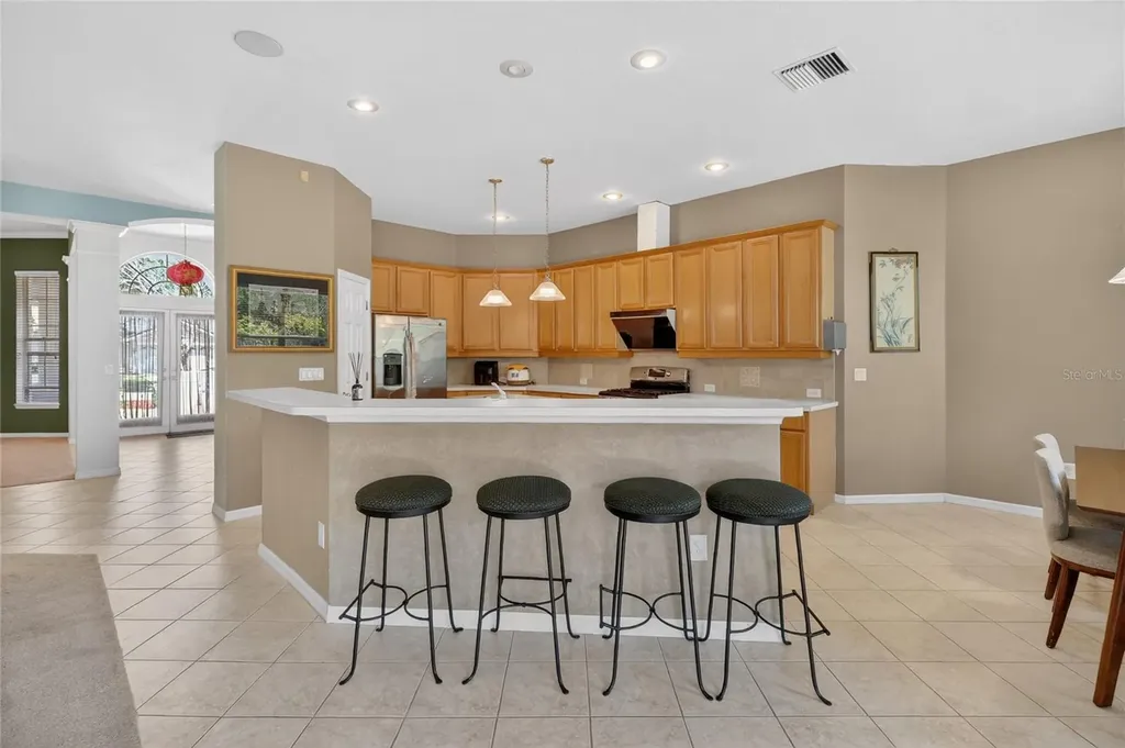10206 Shadow Branch Drive Tampa FL 33647