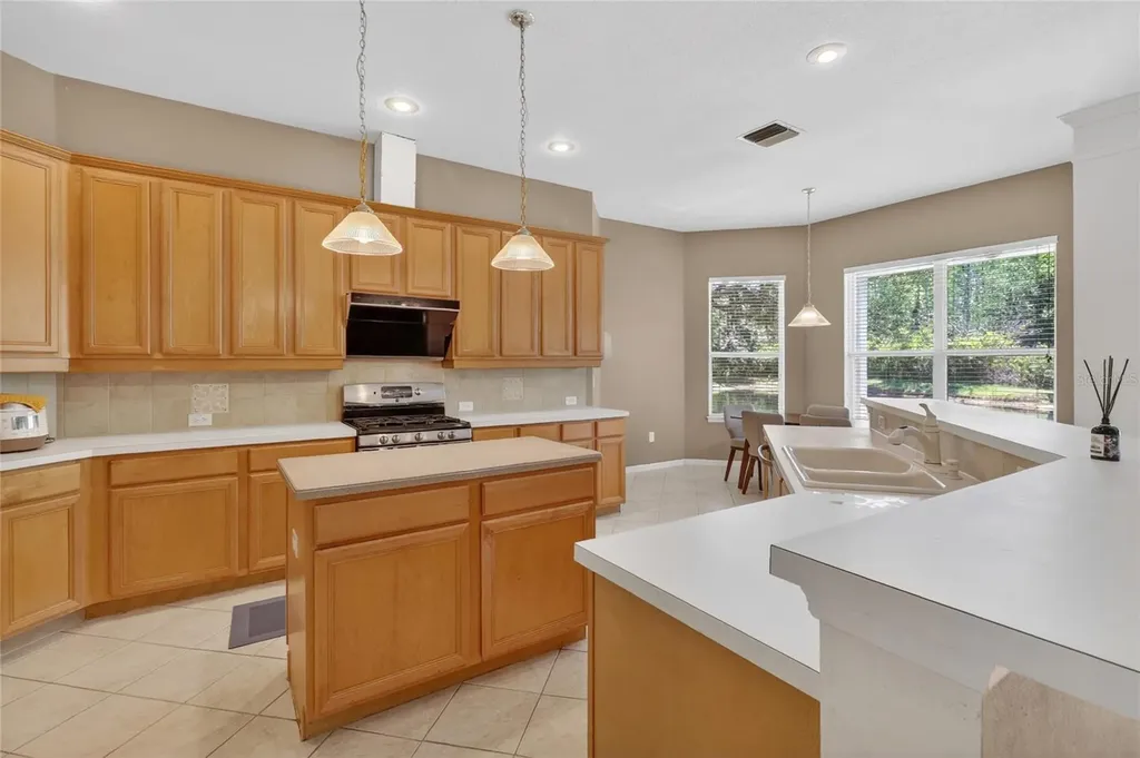 10206 Shadow Branch Drive Tampa FL 33647