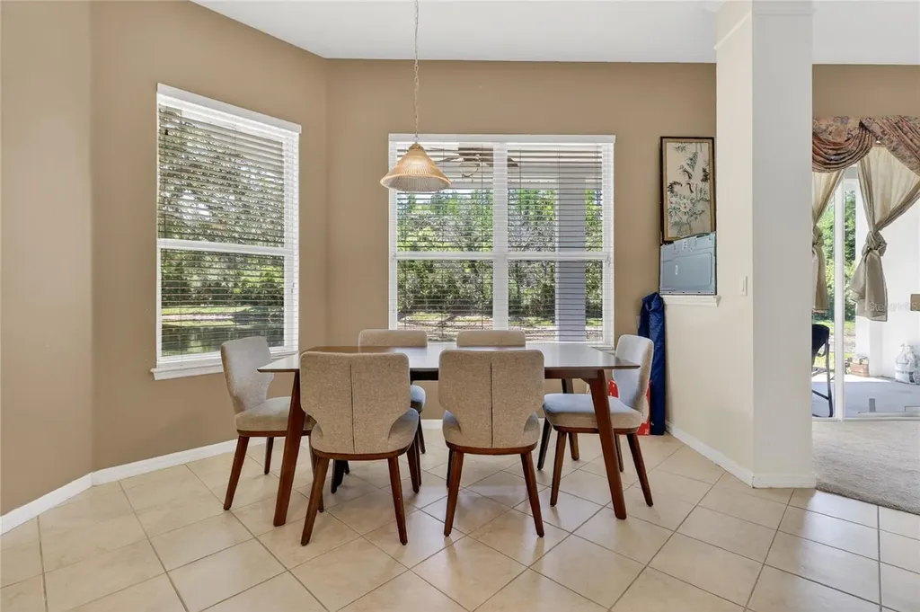 10206 Shadow Branch Drive Tampa FL 33647