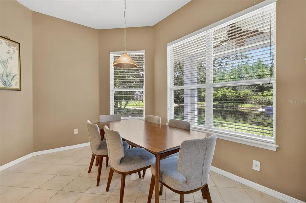 10206 Shadow Branch Drive Tampa FL 33647