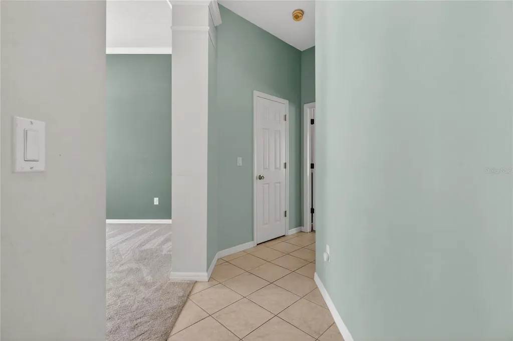 10206 Shadow Branch Drive Tampa FL 33647