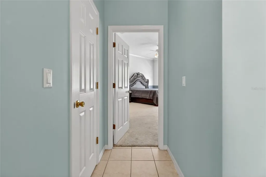 10206 Shadow Branch Drive Tampa FL 33647