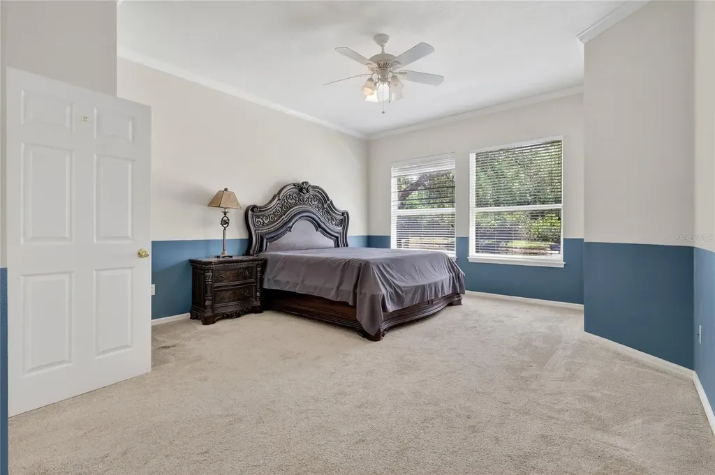 10206 Shadow Branch Drive Tampa FL 33647