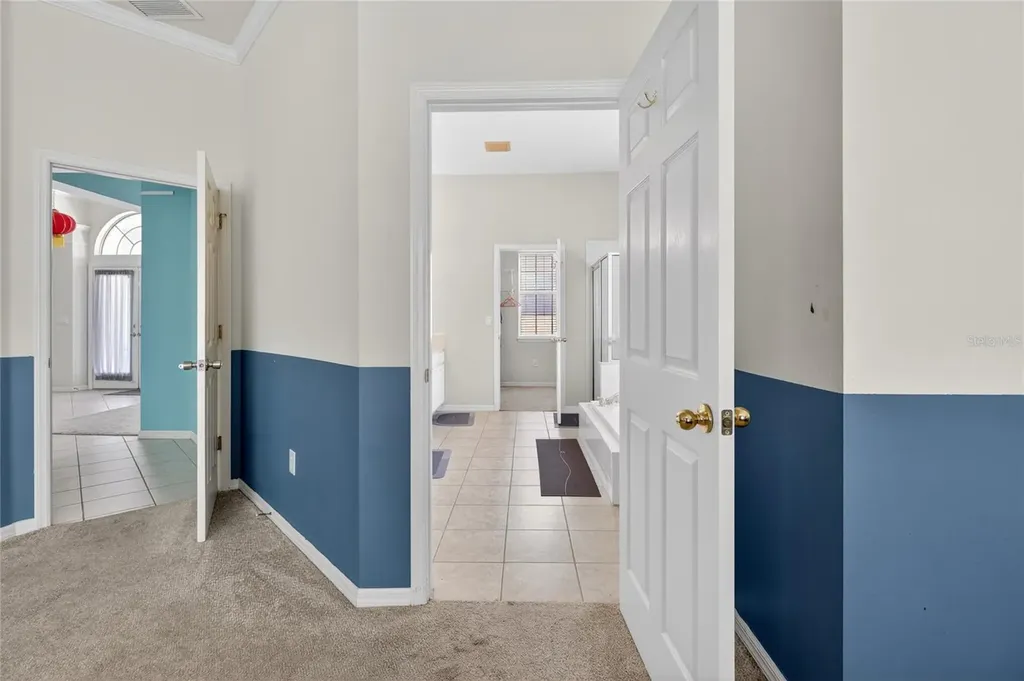 10206 Shadow Branch Drive Tampa FL 33647
