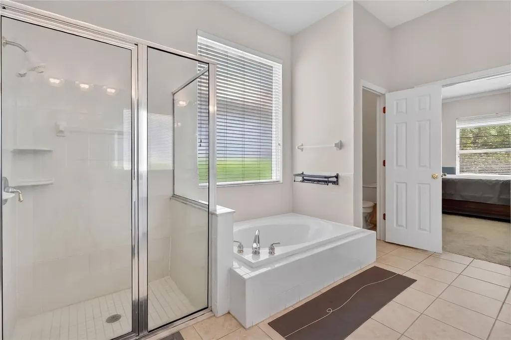 10206 Shadow Branch Drive Tampa FL 33647