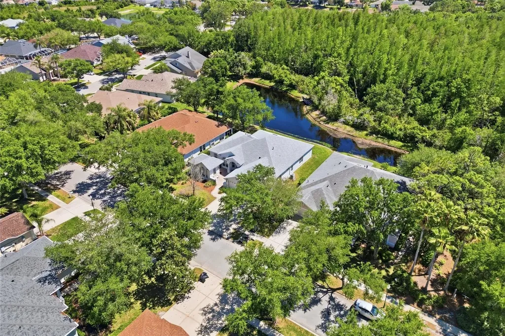 10206 Shadow Branch Drive Tampa FL 33647
