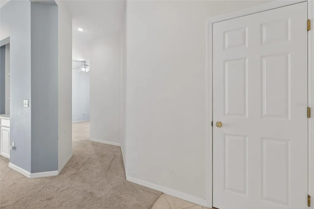 10206 Shadow Branch Drive Tampa FL 33647