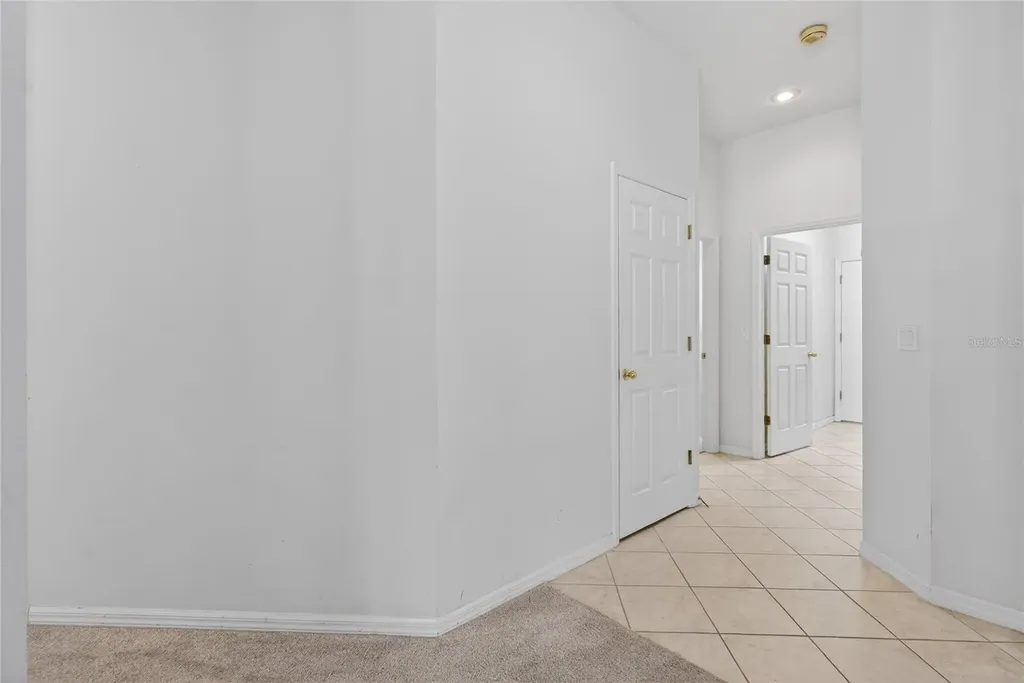 10206 Shadow Branch Drive Tampa FL 33647