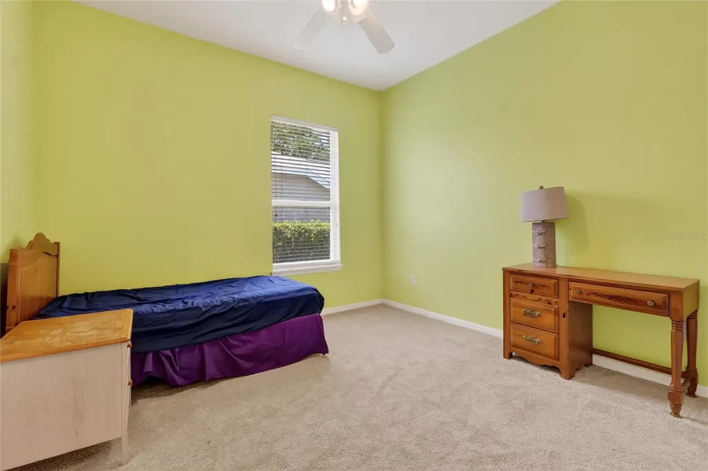 10206 Shadow Branch Drive Tampa FL 33647