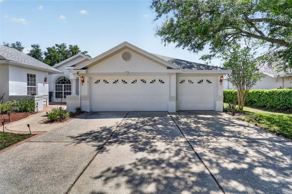 10206 Shadow Branch Drive Tampa FL 33647