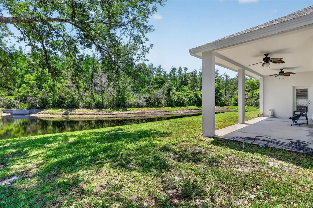 10206 Shadow Branch Drive Tampa FL 33647