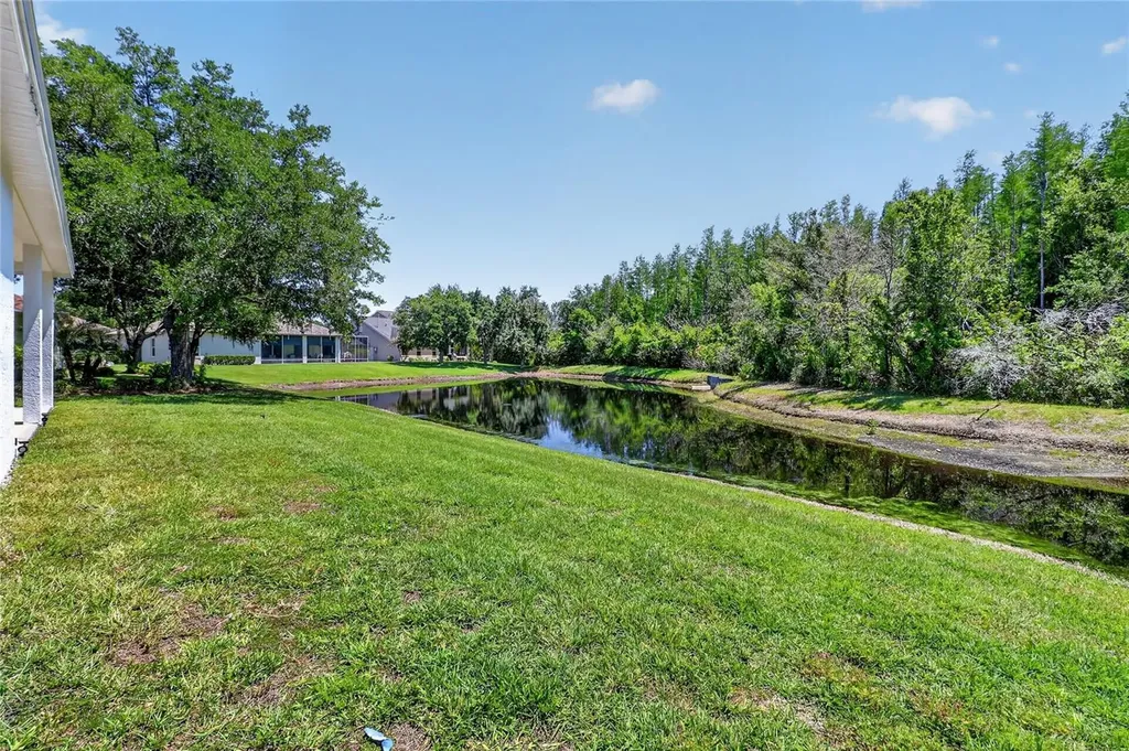10206 Shadow Branch Drive Tampa FL 33647