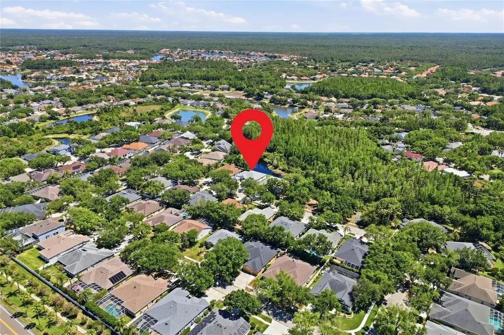 10206 Shadow Branch Drive Tampa FL 33647