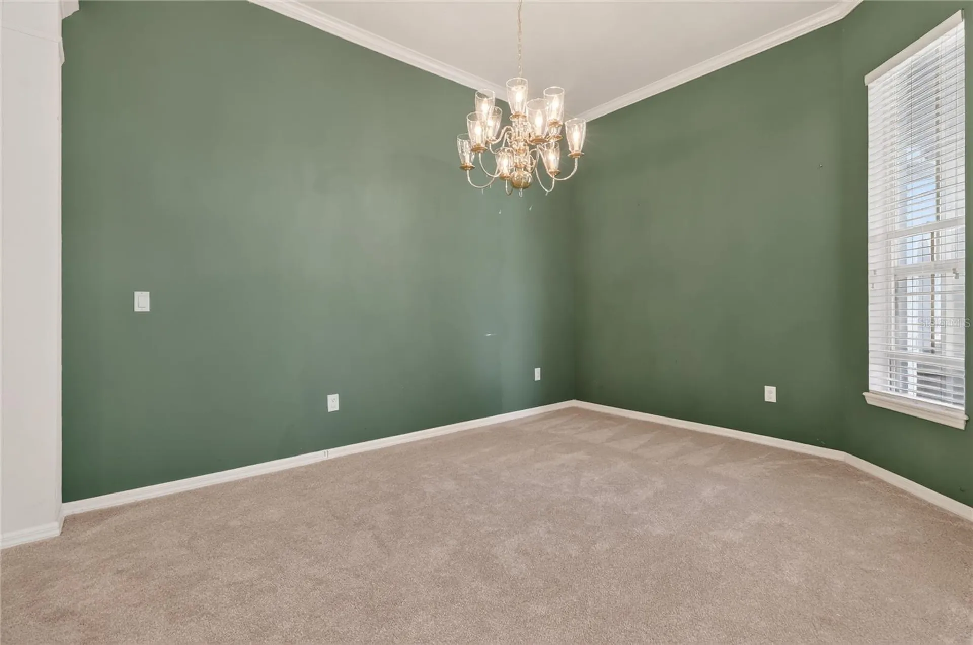 10206 Shadow Branch Drive Tampa FL 33647