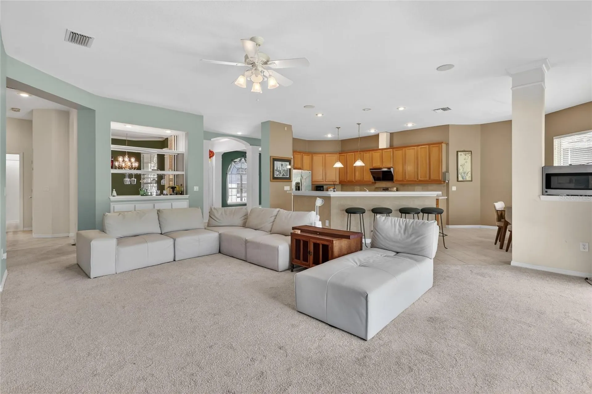 10206 Shadow Branch Drive Tampa FL 33647