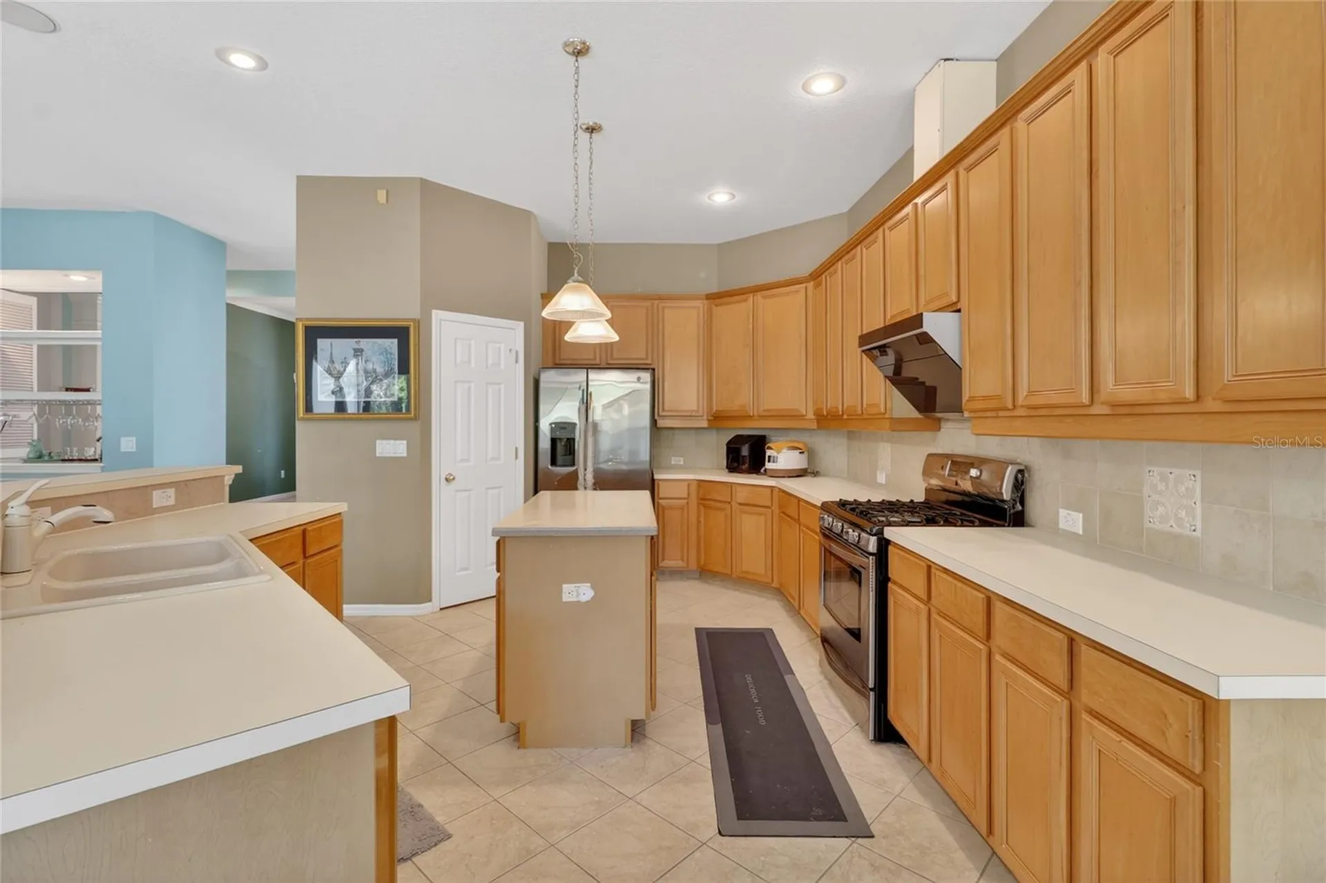 10206 Shadow Branch Drive Tampa FL 33647