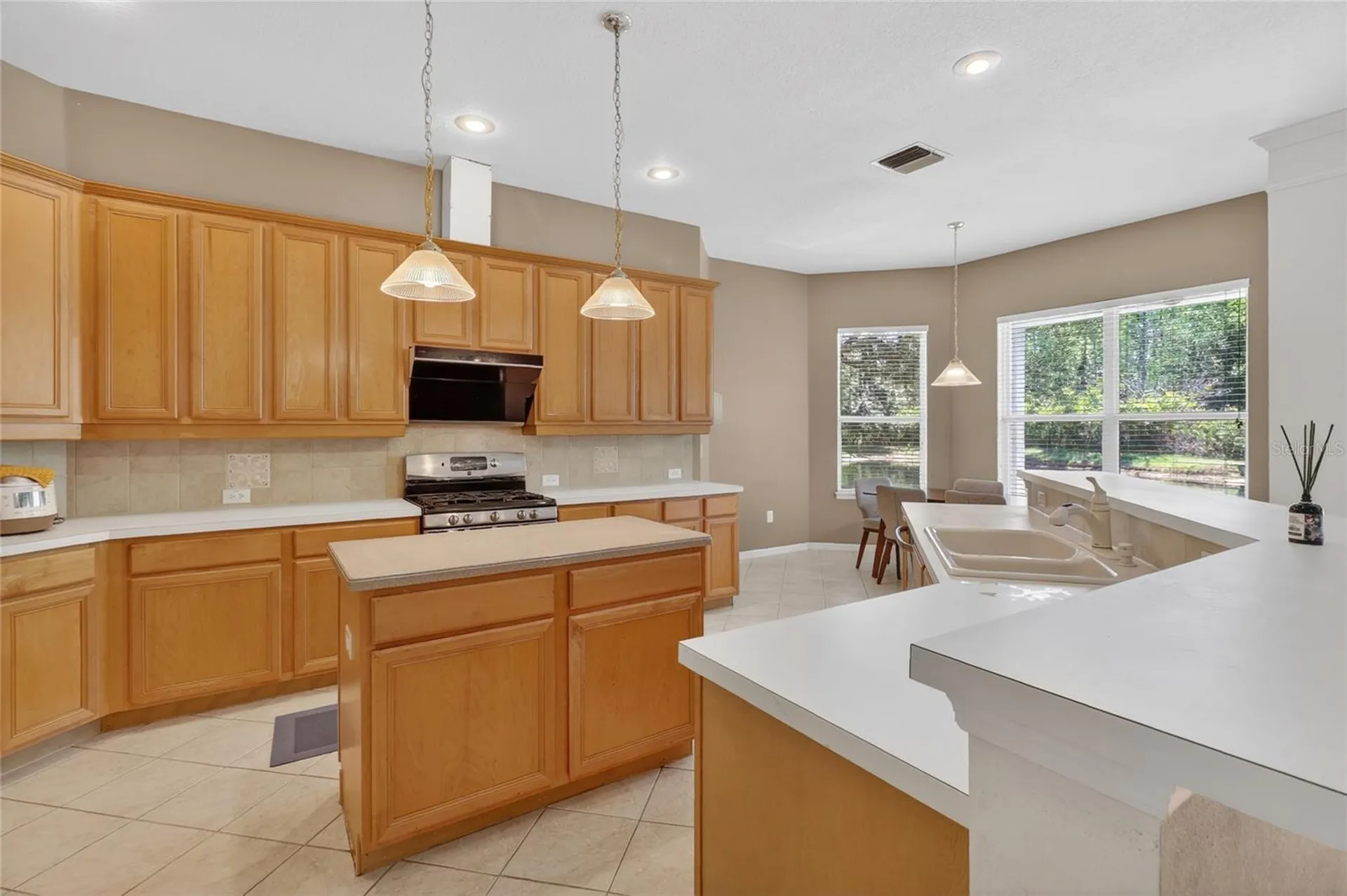 10206 Shadow Branch Drive Tampa FL 33647