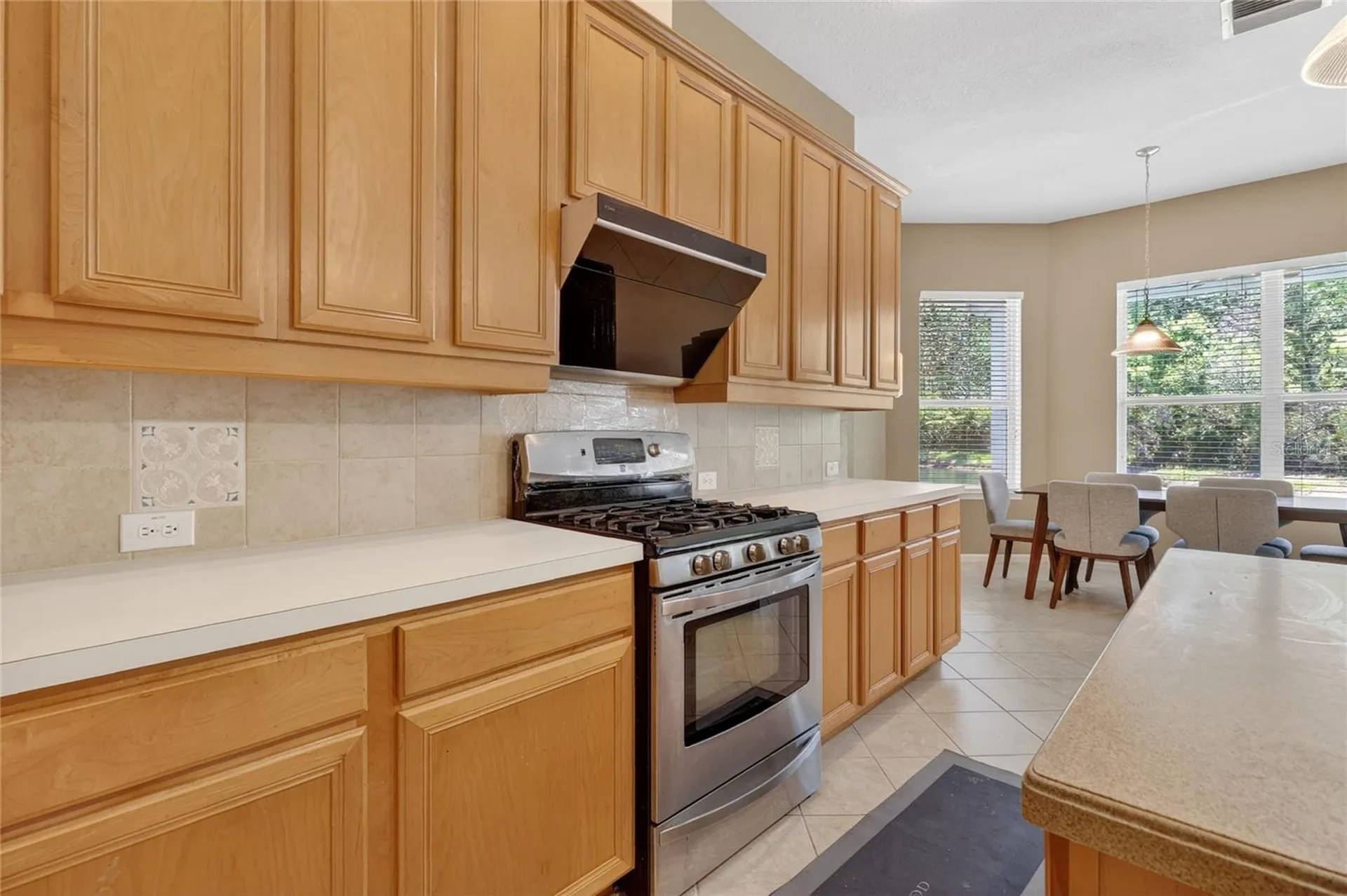 10206 Shadow Branch Drive Tampa FL 33647