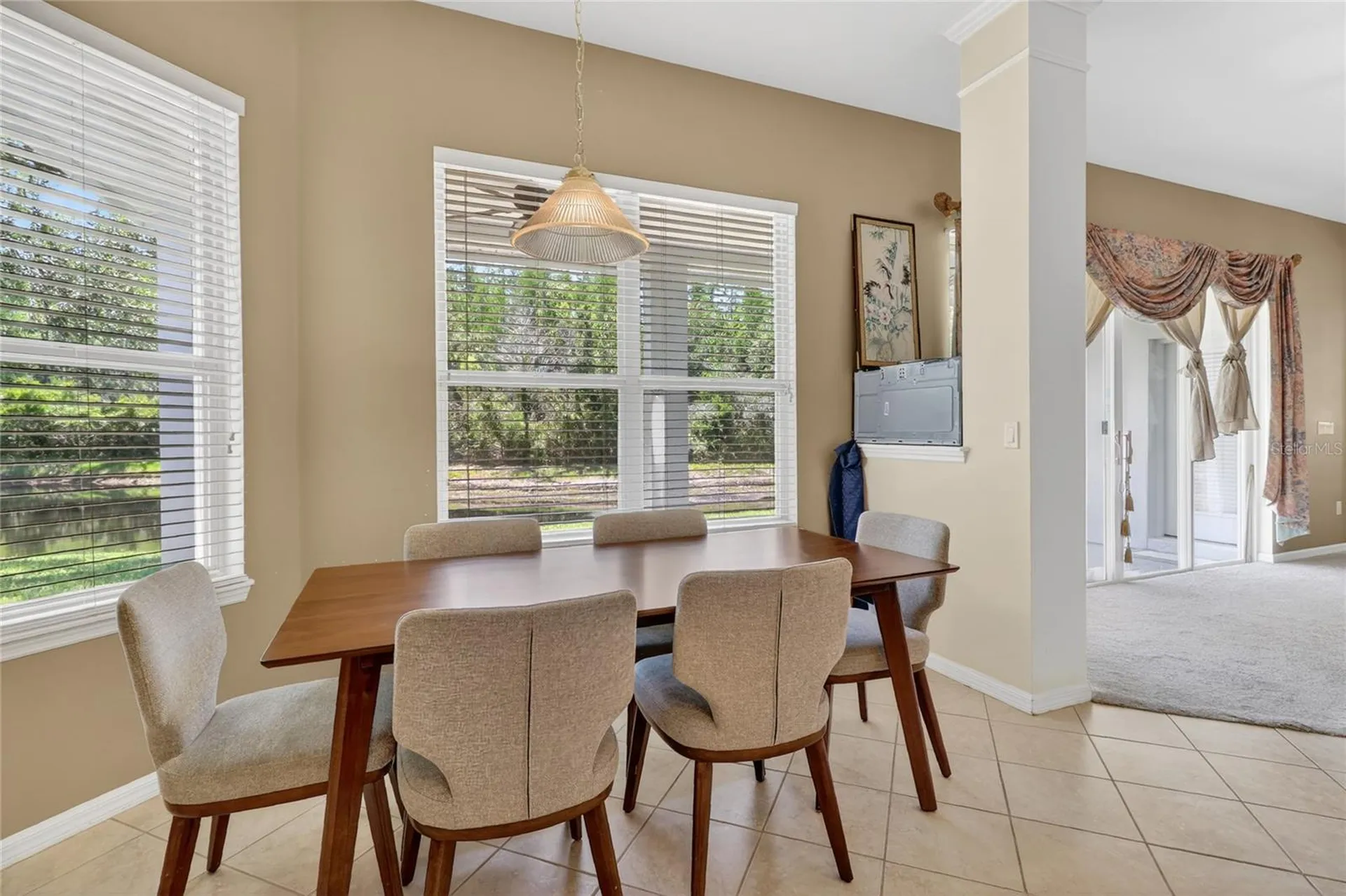 10206 Shadow Branch Drive Tampa FL 33647
