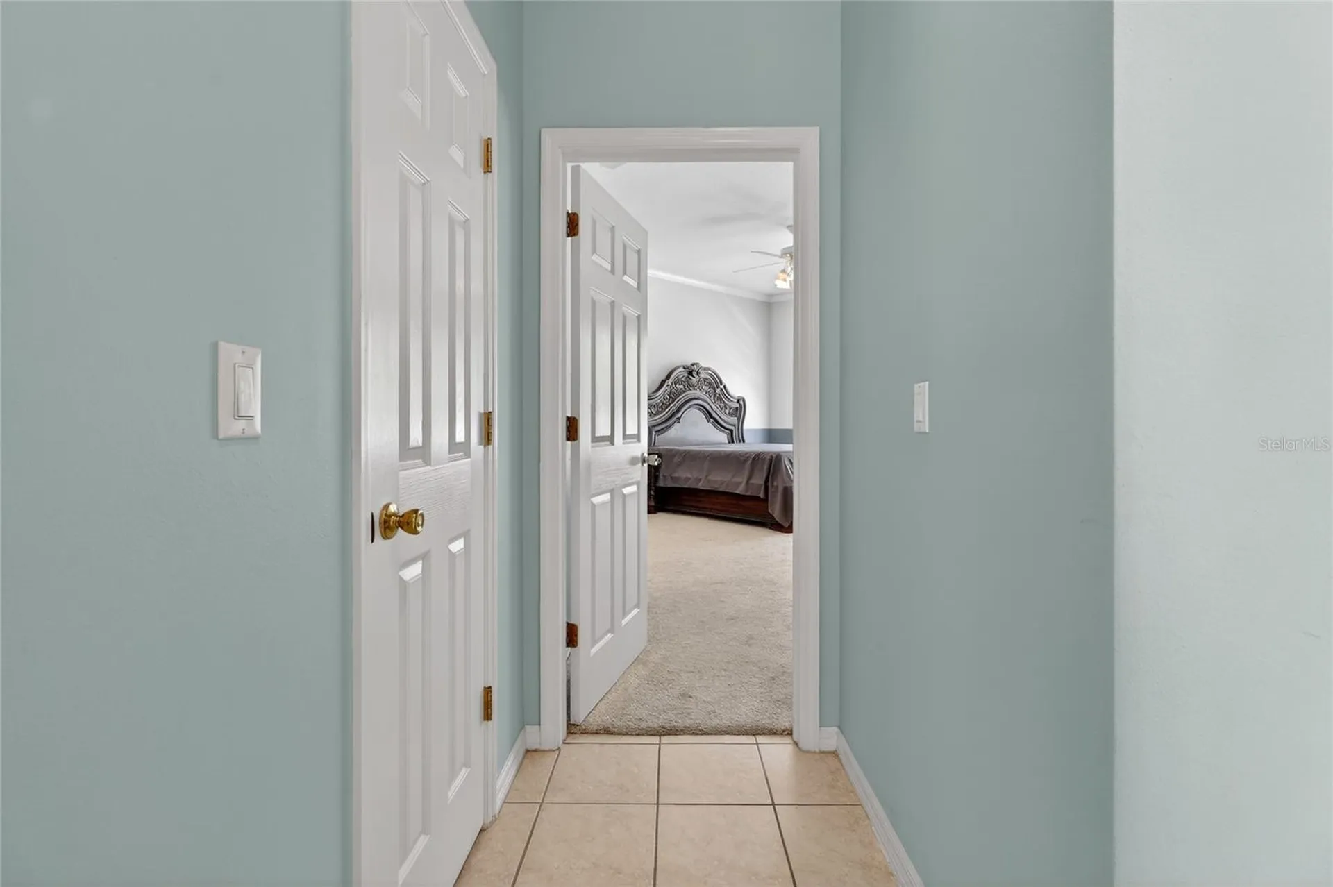 10206 Shadow Branch Drive Tampa FL 33647