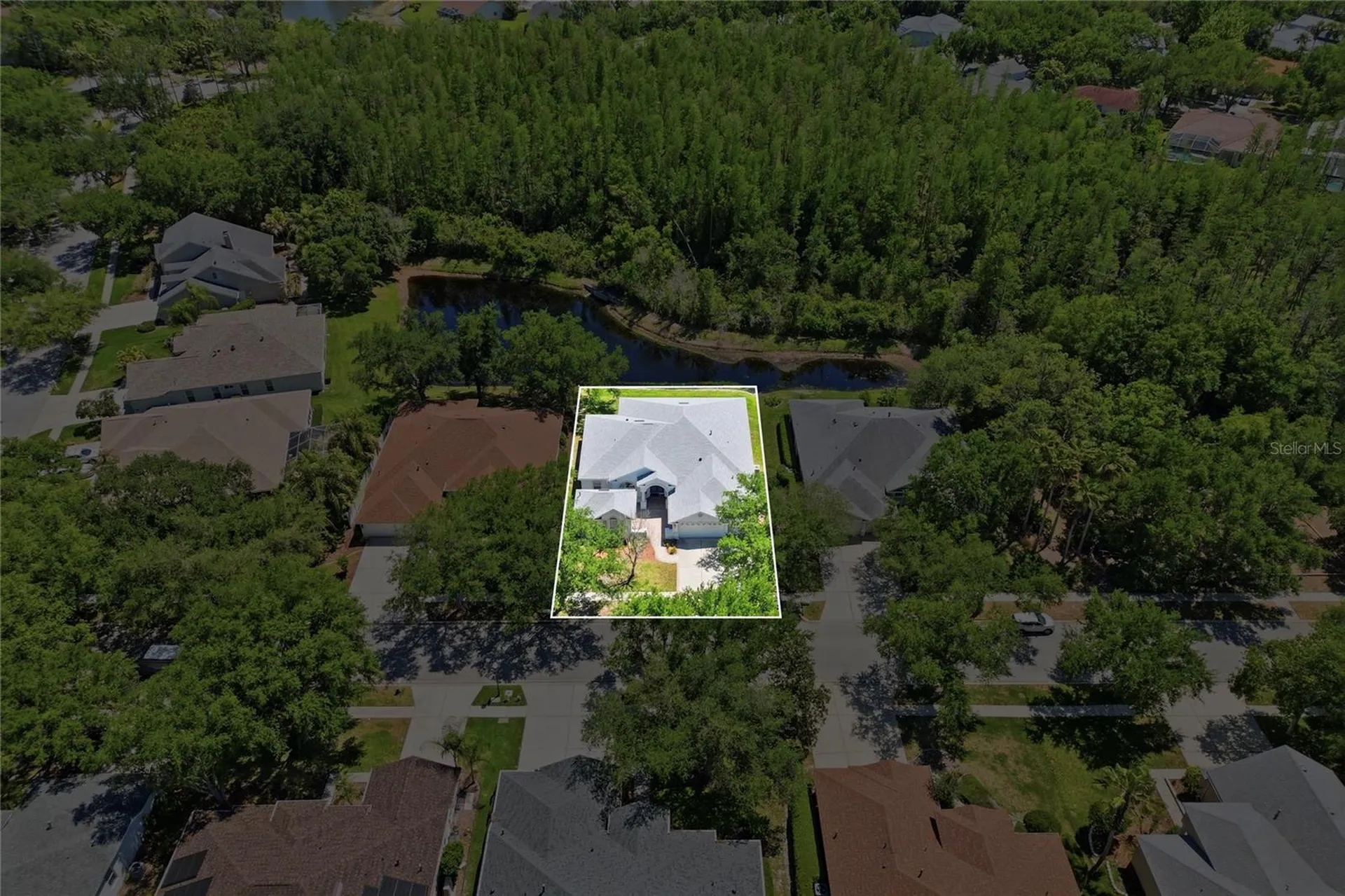 10206 Shadow Branch Drive Tampa FL 33647