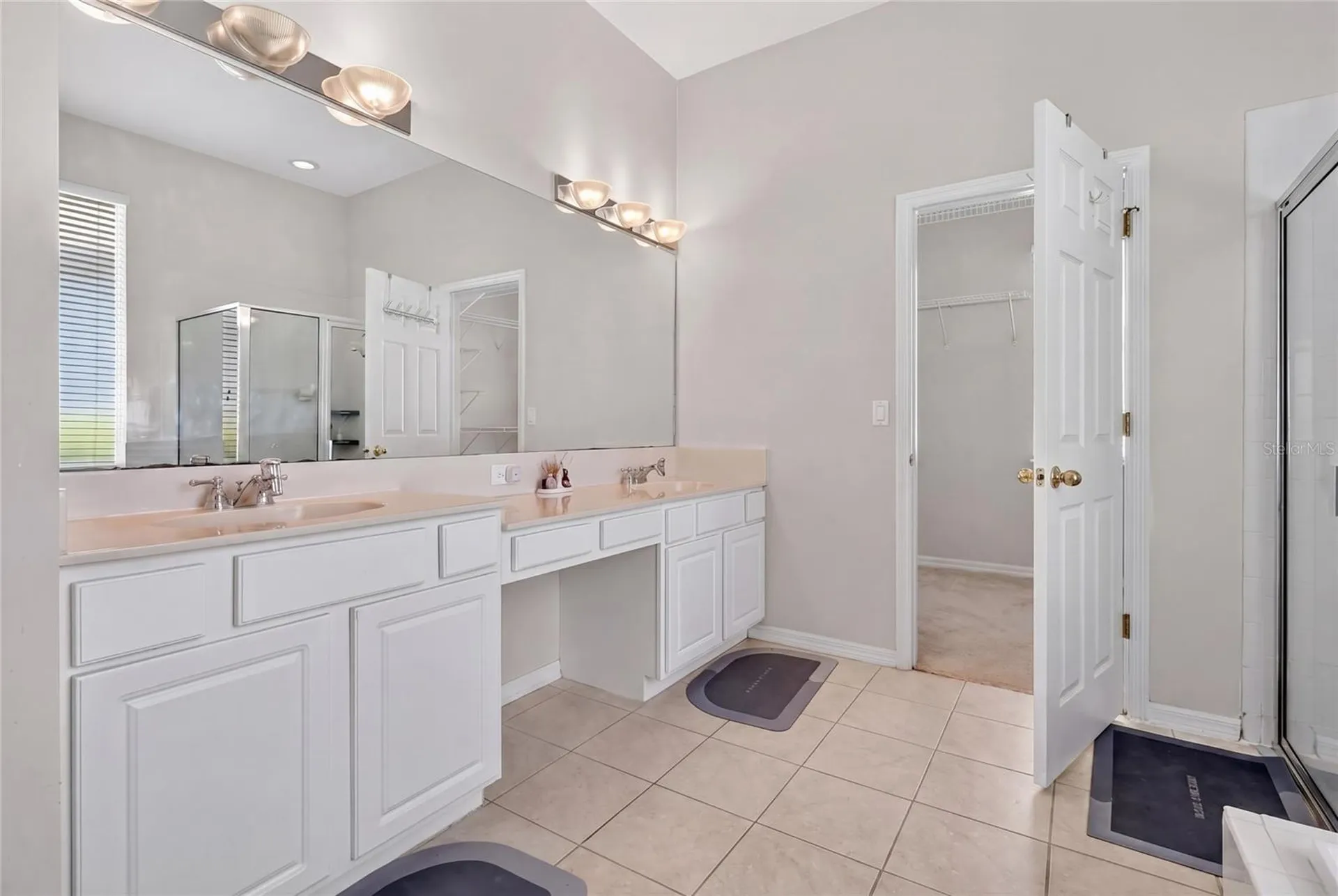 10206 Shadow Branch Drive Tampa FL 33647