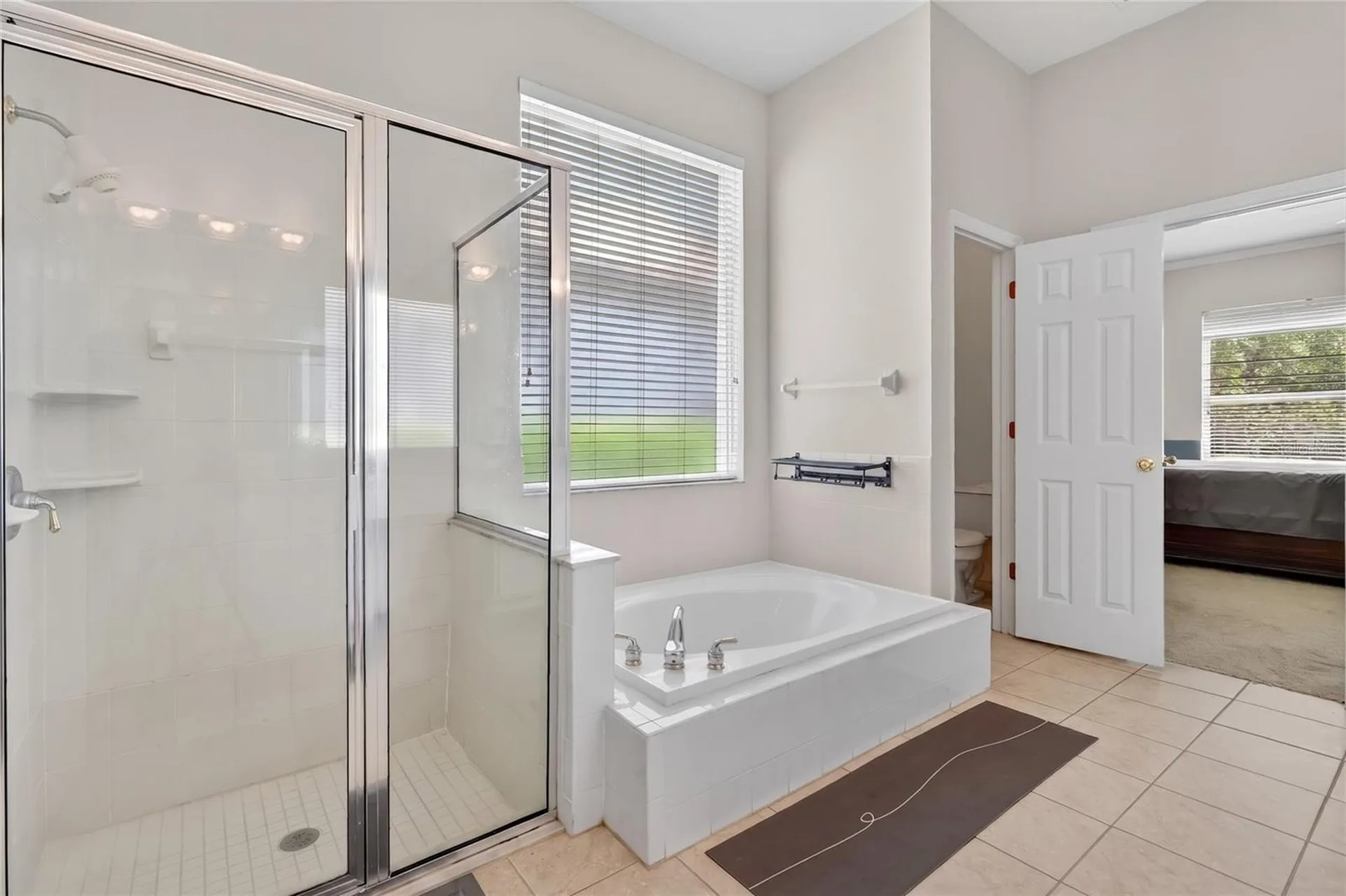 10206 Shadow Branch Drive Tampa FL 33647